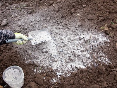 Агрономи розповіли, чим підживити землю на городі наприкінці зими