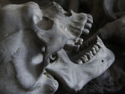 Різанина тисячолітньої давнини: у Сербії знайшли масову могилу жінок і дітей