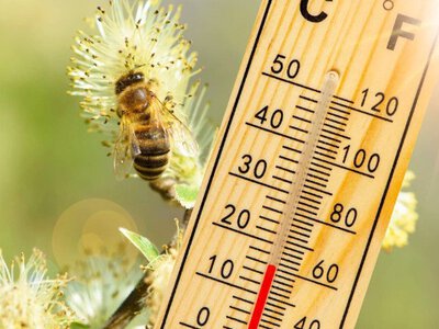 Погода на березень 2026 року в Україні: чи прийде потепління на початку весни 