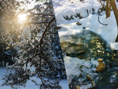 Коли потепліє до +13 в Україні, і якою буде погода у другій половині тижня
