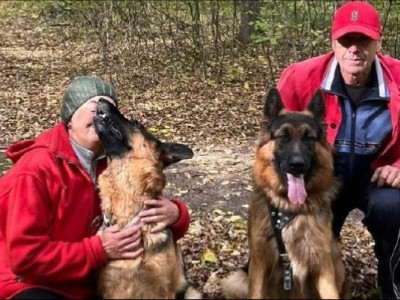 Собаки-акробати з України стали зірками соцмереж