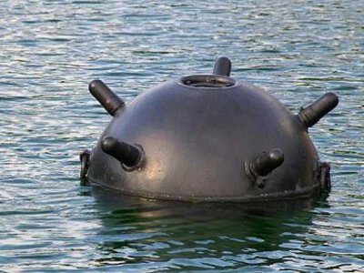 Чисте Чорне море: Нібулон створить морську платформу для розмінування