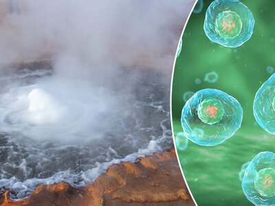 Нова теорія про походження життя шокує вчених: як усе було насправді