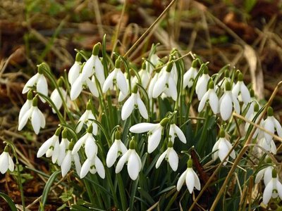Небезпечне тепло: до якої погоди готуватись українцям найближчим часом