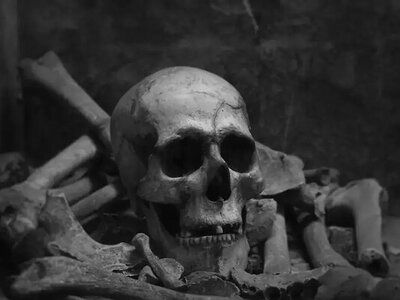 Геноцид у доісторичній Європі: вчені виявили масове вбивство жінок і дітей у Сербії