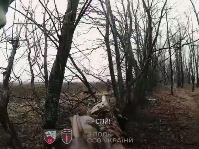 Українські спецпризначенці ліквідували групу військових РФ та врятували бійця ЗСУ біля Покровська