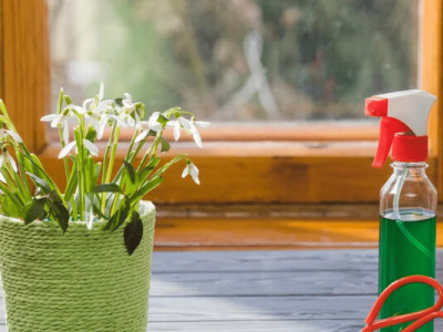 Що не можна зберігати на підвіконні: поширені помилки