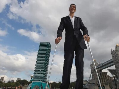 Мережу потішили люди-«велетні», які відвідали Японію (фото)