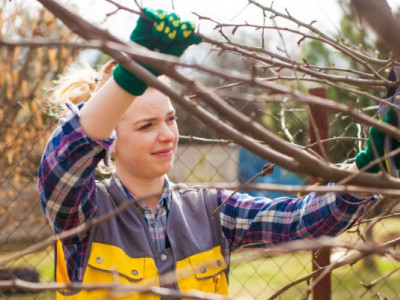 Підготовка саду до весни: 5 робіт, які обов'язково слід виконати