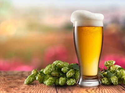 Українське пиво підкорює Польщу: де знайти Уманьпиво вже сьогодні