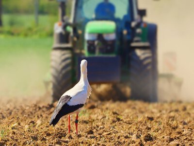 Людей не вистачає: кадровий дефіцит наздогнав аграріїв