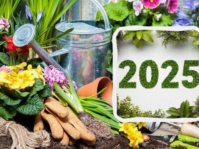 Календар городника на березень: коли та що садити і чому 3 дні під абсолютною забороною