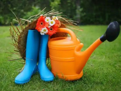 Поки інші чекають тепла: що досвідчені дачники роблять у березні