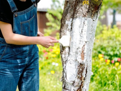 Що обов'язково зробити на городі в березні: чек-лист для дачника