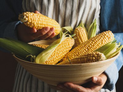 Фермери в шоці: новий метод захисту кукурудзи може врятувати врожай навіть у найгірший сезон