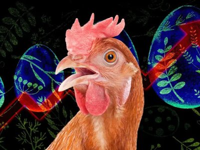 Буде торговельна війна з Молдовою? Там заборонили імпорт нашої курятини і висунули ультиматум, у нас готують відповідь