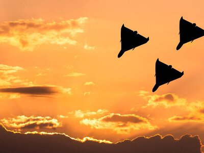 Ворог вгатив по Одещині: пошкоджено об'єкти у портах