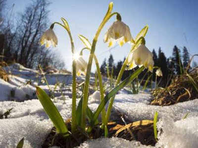 Стрімке потепління. Коли в Україні температура повітря підвищиться +11 градусів
