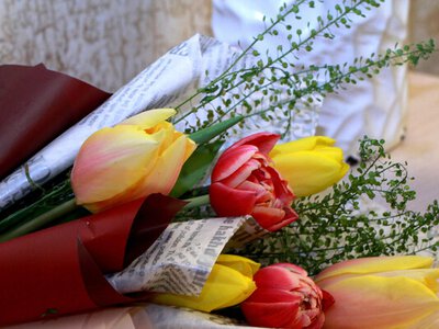 Популярність свята знизилася: скільки українців цього року відзначатимуть 8 березня