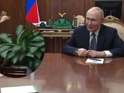 Кімнатні рослини викрили обман Путіна: опубліковані з ним кадри – старі