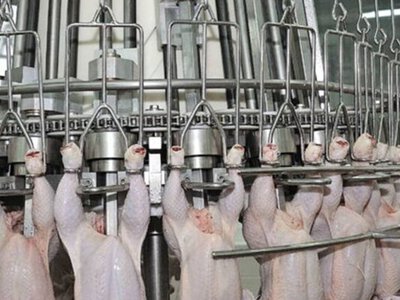 Молдова відновлює імпорт української курятини