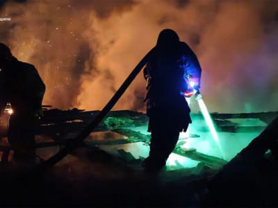 З-під завалів зруйнованого обстрілом будинку на Чернігівщині врятували котика (ФОТО)