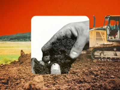 Ринок землі: в Україні вже продано мільйон гектарів сільгоспземель