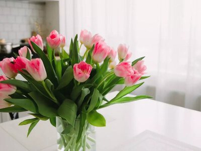 Як подовжити життя тюльпанам у вазі: копійчаний засіб для свіжості квітів