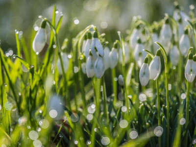 Антициклон принесе весняне тепло в Україну: прогноз погоди на 9–15 березня