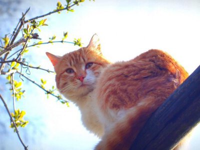 Яка буде погода в Україні на початку нового робочого тижня