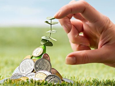 Ринок землі в Україні перевищив 1 млн га: хто купує і за скільки