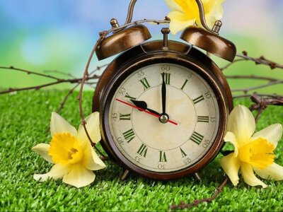 Українцям знову зріжуть ніч: коли переводять годинники на літній час?