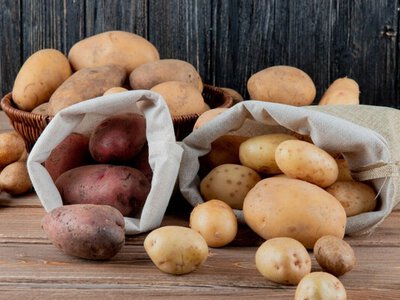 Як не помилитися з вибором посадкової картоплі: поради городникам