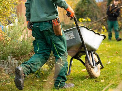 Город навесні: як підготувати землю та рослини після зими