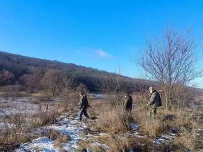 Шакали, лисиці та вовки: як контролюють хижаків на Одещині