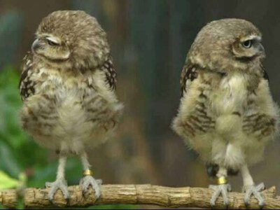 Незгода чи неповага: тонка межа, яка визначає ваші стосунки 