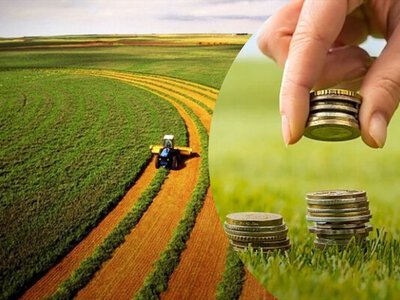 Купівля землі в Україні: як перевірити власника і не втратити гроші