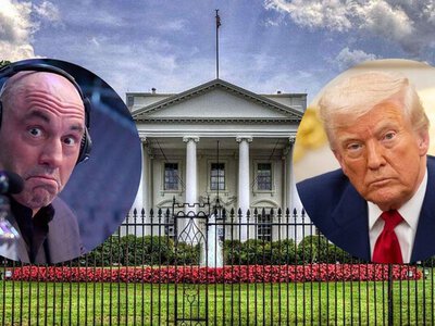 Це божевільно: американський коментатор про майбутній бій у Білому домі