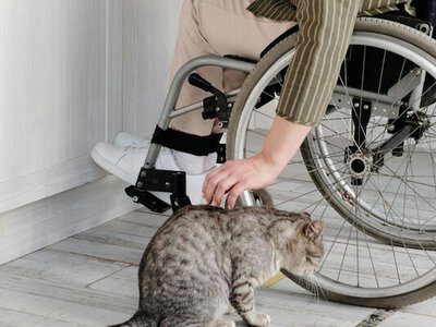 Українці з II групою інвалідності можуть отримати до 10 тисяч гривень: які умови одержання