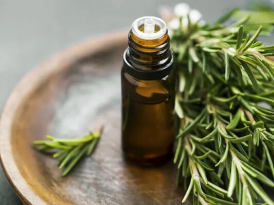 Чи справді олія розмарину допомагає відростити волосся: що кажуть дослідження