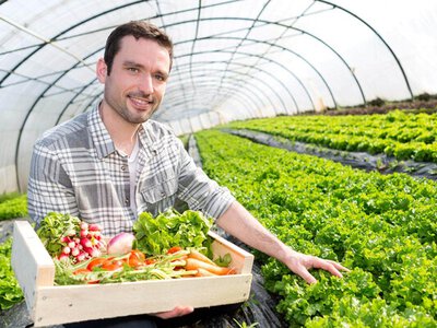 До $150 тис. на розвиток ягідництва та овочівництва: ЄС і ФАО запускають нову грантову програму через ДАР