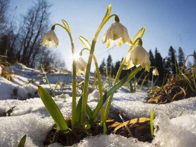 Синоптики розповіли, якою буде погода на вихідних