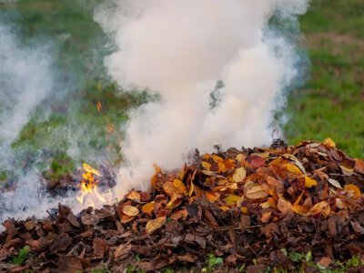 Штрафи до 150 тисяч: українців попередили про покарання за спалювання трави 