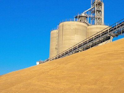 Одеський суд визнав недійсними зернові угоди на 111 мільйонів за позовом податкової