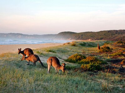 Тут точно не буде Третьої світової: куди поїхати у відпустку в 2026 році