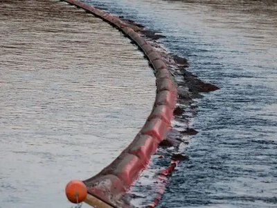 В Молдові оголосили екологічну тривогу через забруднення Дністра