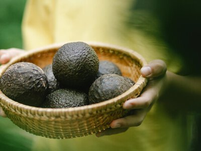 Фермер розповів, як зберігати авокадо, щоб воно не темніло