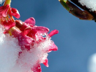 Синоптик прогнозує похолодання і мокрий сніг в Україні вже найближчими днями