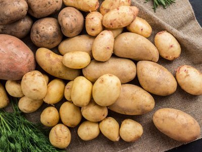 Дешевшає на очах: чому фермери панічно продають картоплю