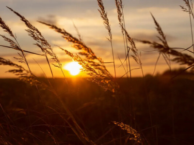 Весняне рівнодення 2026: точний час настання астрономічної весни 